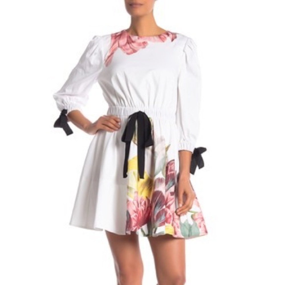 NWT Ted Baker London Tranquility A-Line Dress